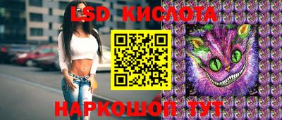 СК Гусев