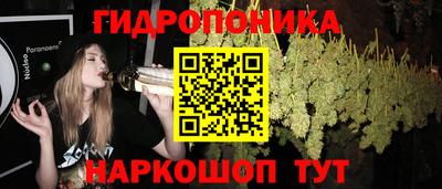 СК Гусев