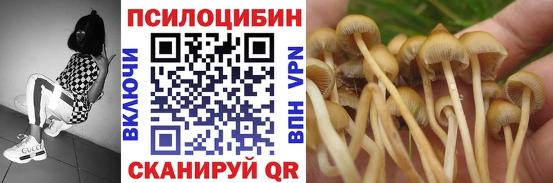мега ТОР  Мценск  Галлюциногенные грибы мицелий 