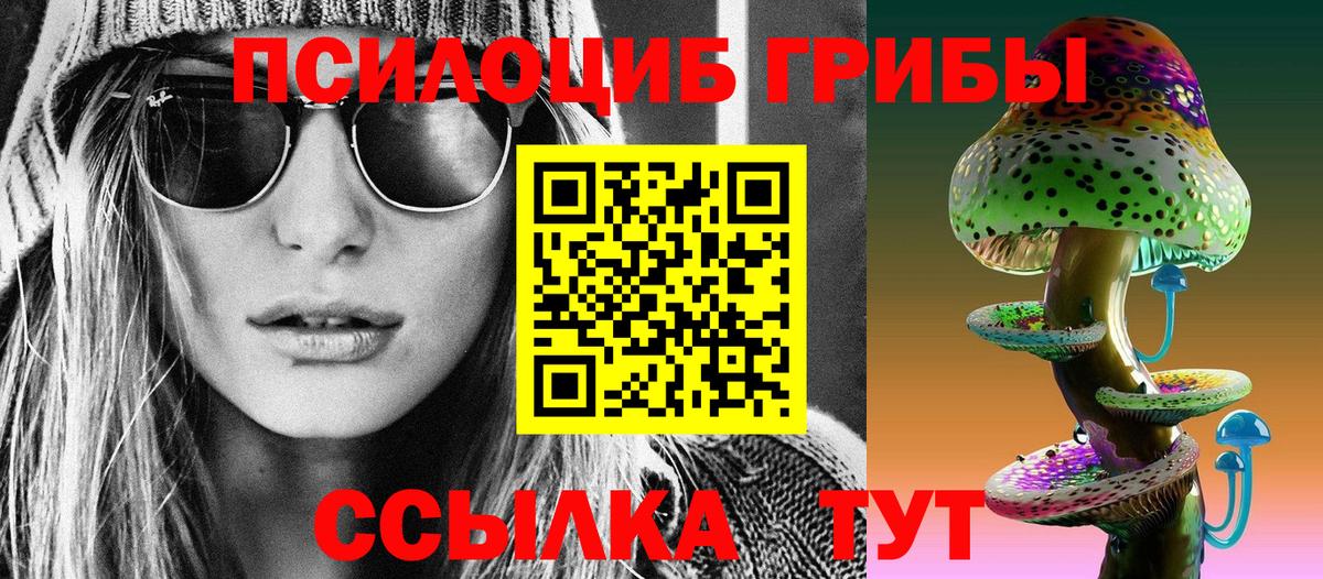 Мценск  Галлюциногенные грибы прущие грибы  Вход с VPN 
